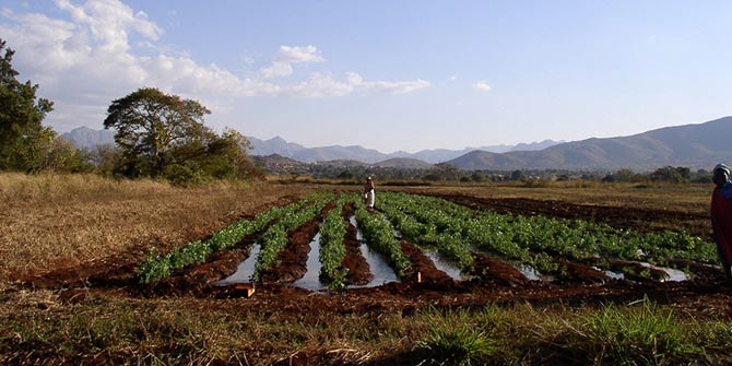 An irrigated field in the Limpopo Basin in South Africa Photo Credit: IFPRI Images via flickr (http://bit.ly/2a7gorK) CC BY-NC-ND 2.0