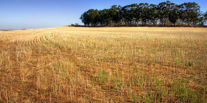 A wheat field in the Western Cape Photo Credit: slack12 via Flickr (http://bit.ly/2bzhpyy) CC BY-NC-ND 2.0