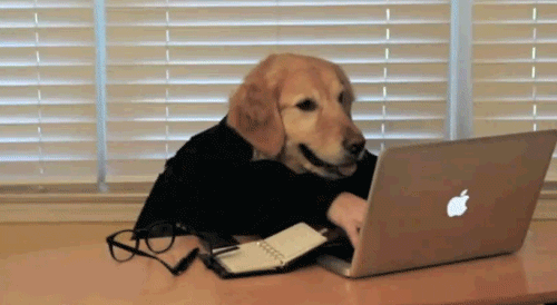 Dog typing