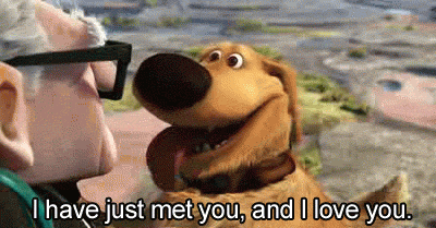 Dog from Up I have just met you and I love you
