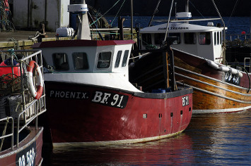Fishing boats, Tobermory, Scotland (Credit: BriYYZ, CC BY 2.0)
