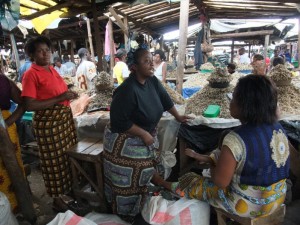 Female market traders, selling dried sardines, or rather conversing in the absence of customers