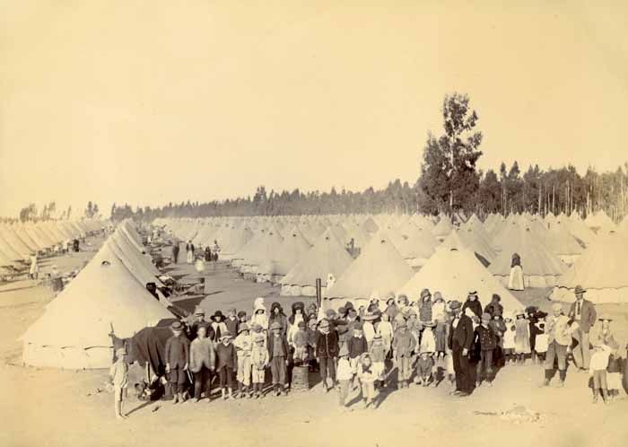 Boer camp, 1901 (ref 7MGF/E/1/125)