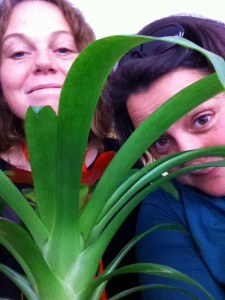 Claire, Konni and the green impact plant