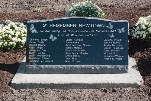 Remember Newtown