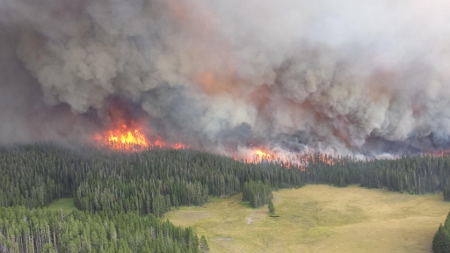 Forest Fire in Yellowstone National Park, 2013 Credit: USDAgov (Creative Commons BY)